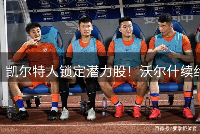 凯尔特人锁定潜力股！沃尔什续约引专家盛赞